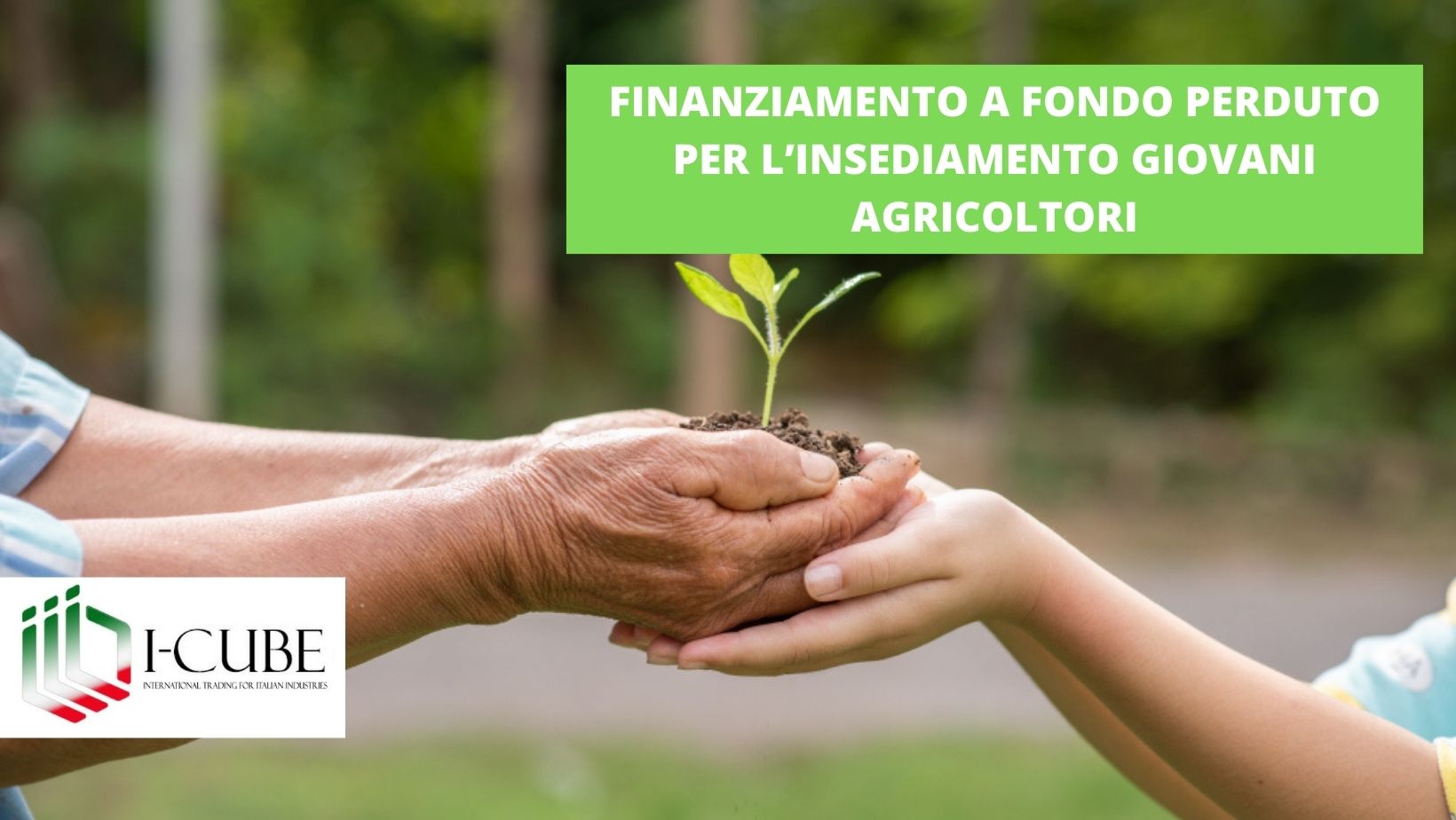 FINANZIAMENTO A FONDO PERDUTO FINO A € 50.000,00 PER L’INSEDIAMENTO DI