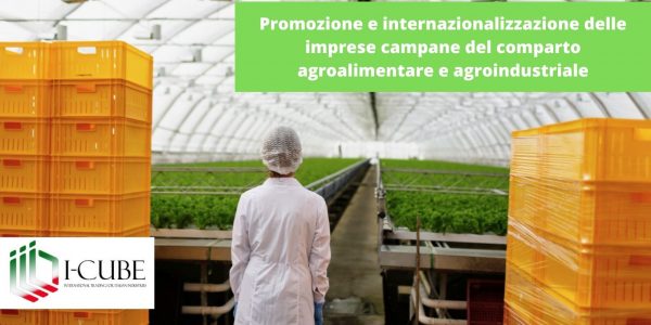 <strong>Promozione e internazionalizzazione delle imprese campane del comparto agroalimentare e agroindustriale                                                         </strong>